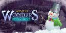 878277 game Winter Wonder